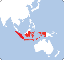 INDONESIA